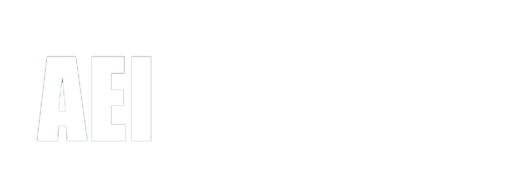 Afrique Experts International