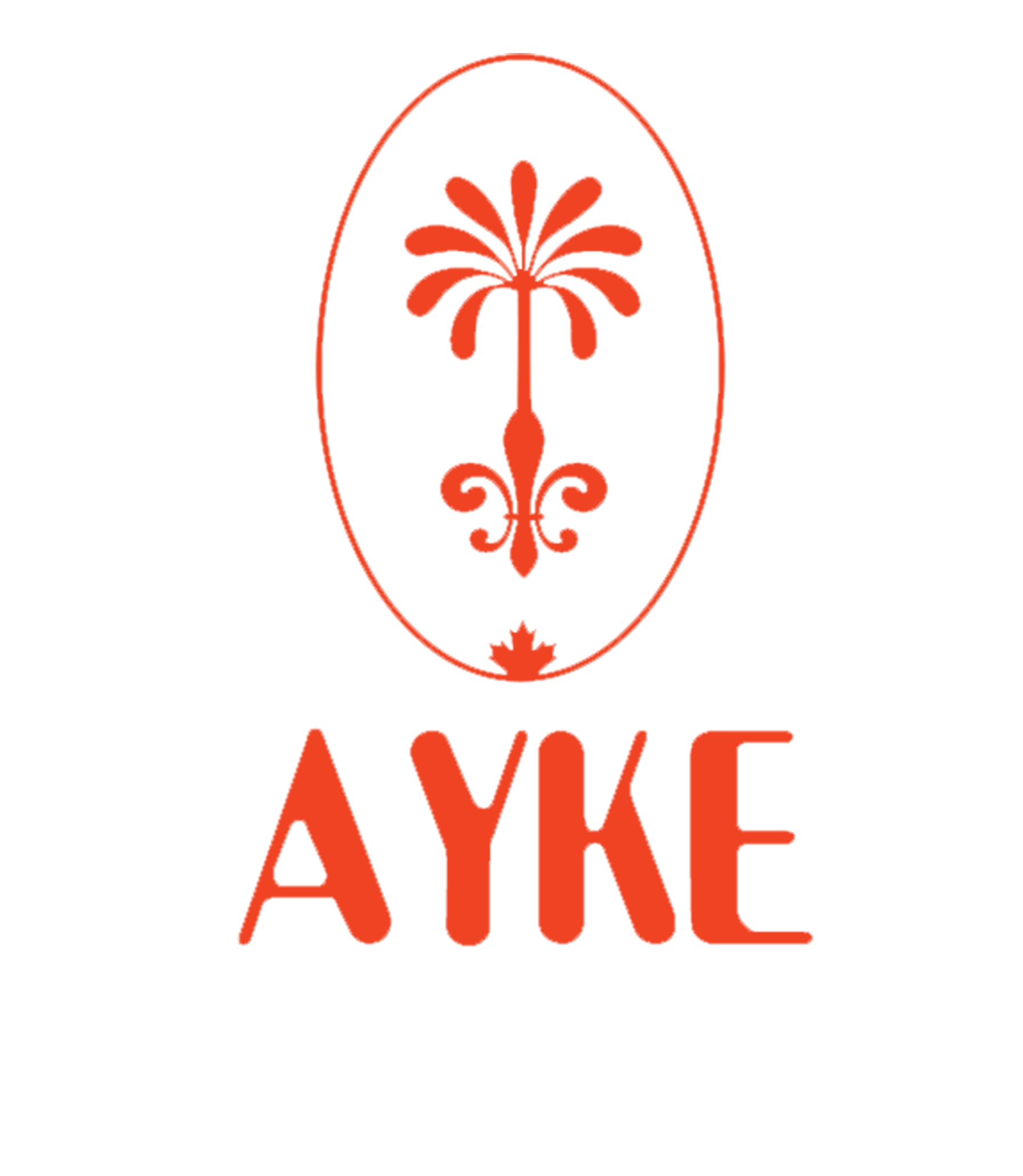 AYKÉ Sirop d'érable infusé au curcuma et gingembre