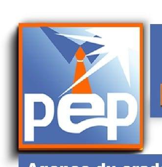 PROFESSIONNEL EXPRESS PRESSING